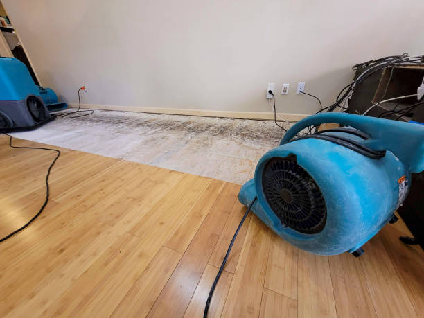 Professional Ceiling Water Damage Repair technician working in Chilo, OH