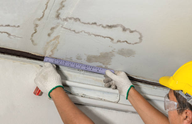 Affordable Ceiling Water Damage Repair solutions in Chilo, OH